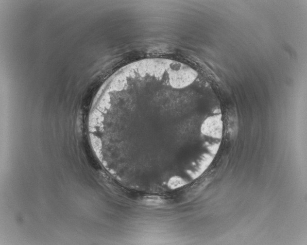 X0000114120519200911161142