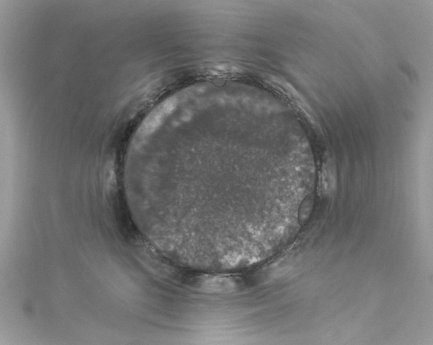 X0000114120520200911161142