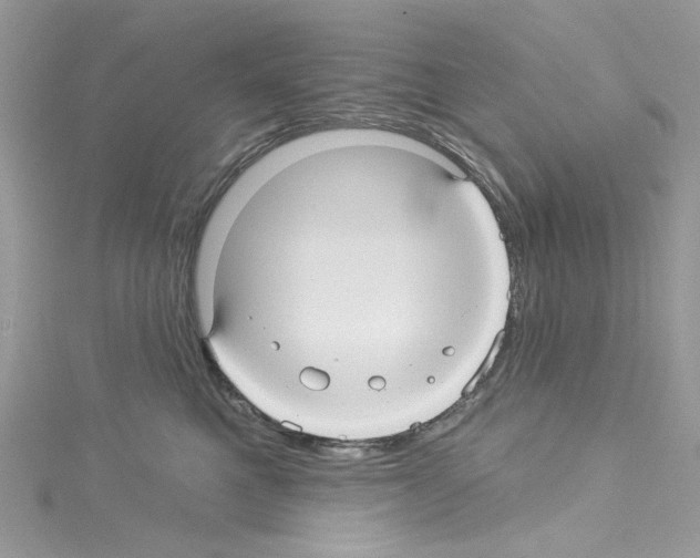 X0000114120521200911161142