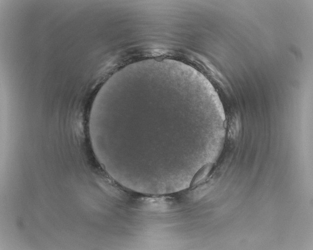 X0000114120524200911161141