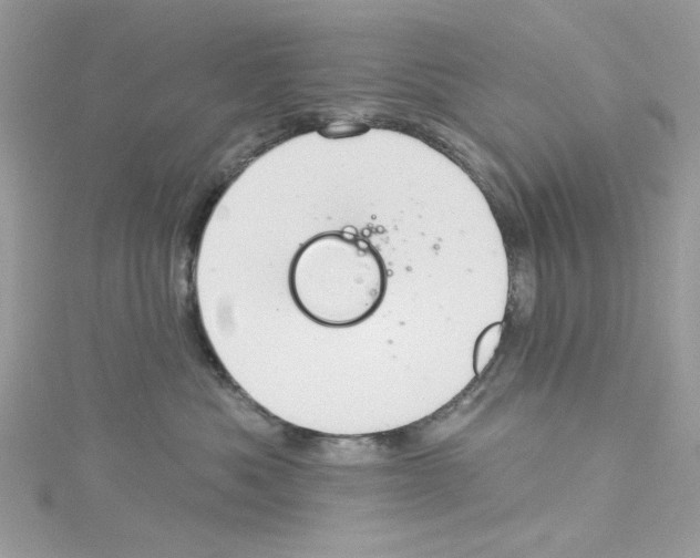 X0000114120525200911161141