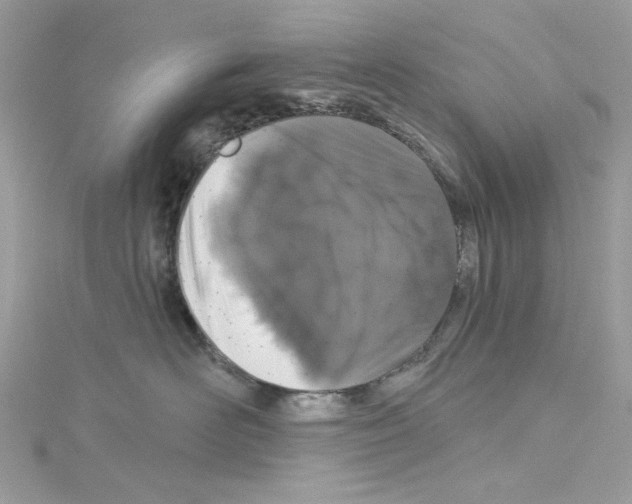 X0000114120526200911161141