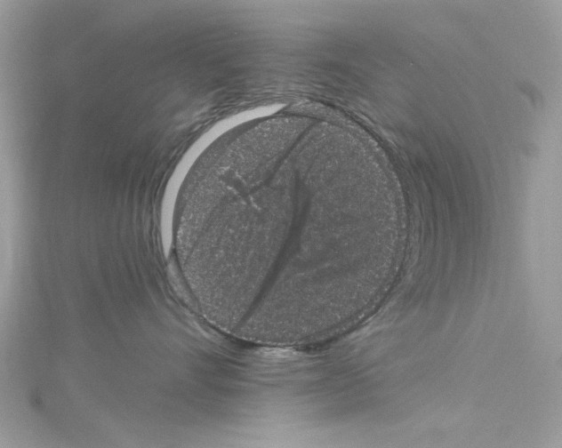 X0000114120528200911161141