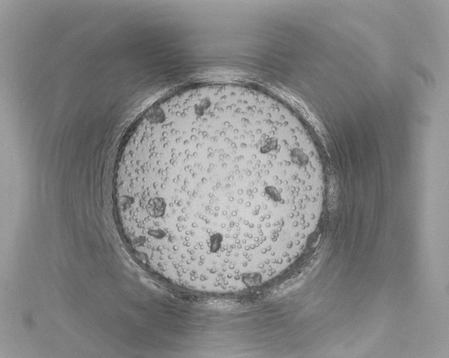 X0000114120529200911161141