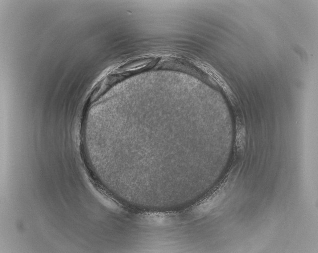 X0000114120530200911161141