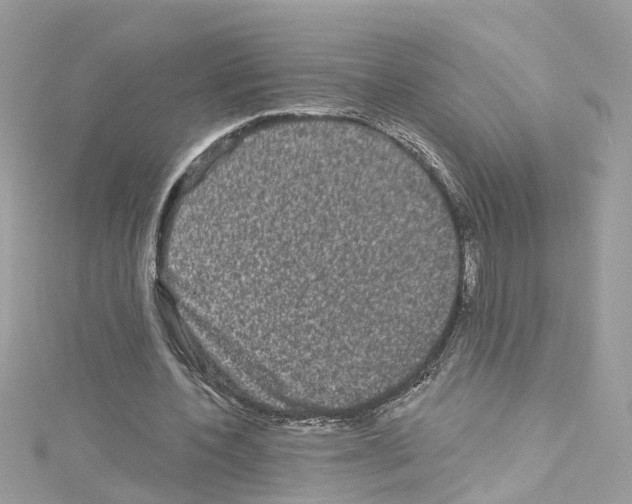 X0000114120532200911161141