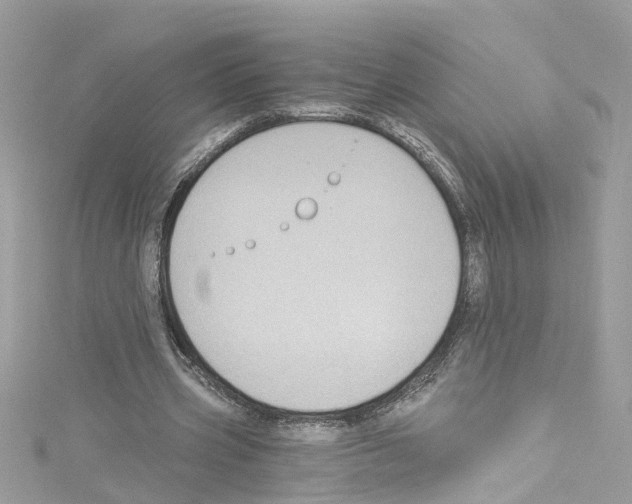 X0000114120533200911161141