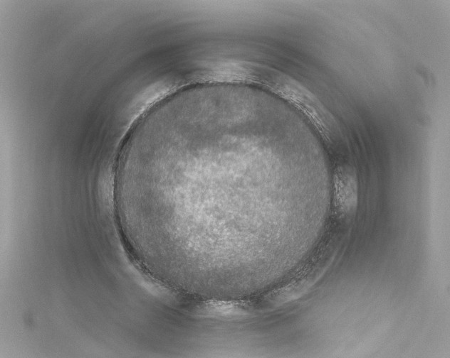 X0000114120534200911161141