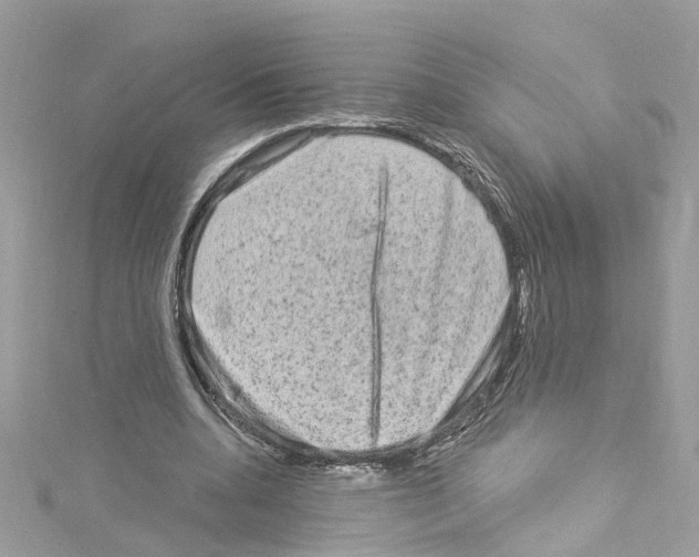 X0000114120536200911161141