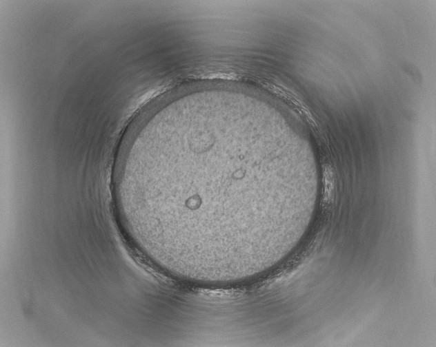 X0000114120538200911161141