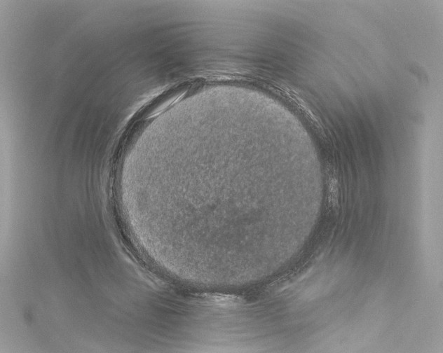 X0000114120539200911161141