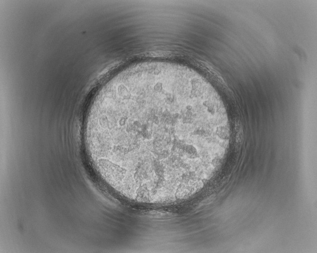 X0000114120542200911161141