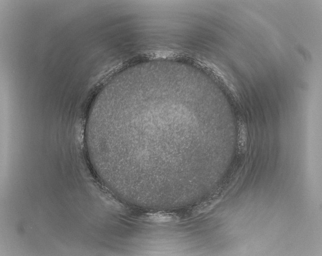 X0000114120545200911161141