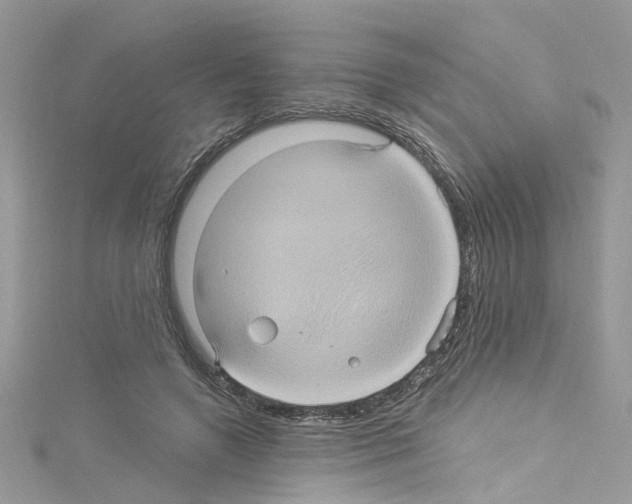 X0000114120546200911161141