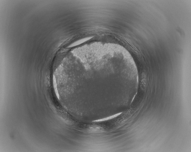 X0000114120547200911161141