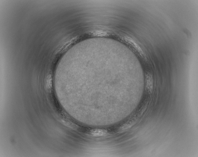 X0000114120549200911161141