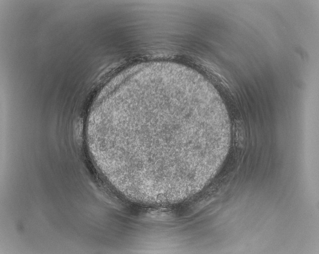 X0000114120550200911161141