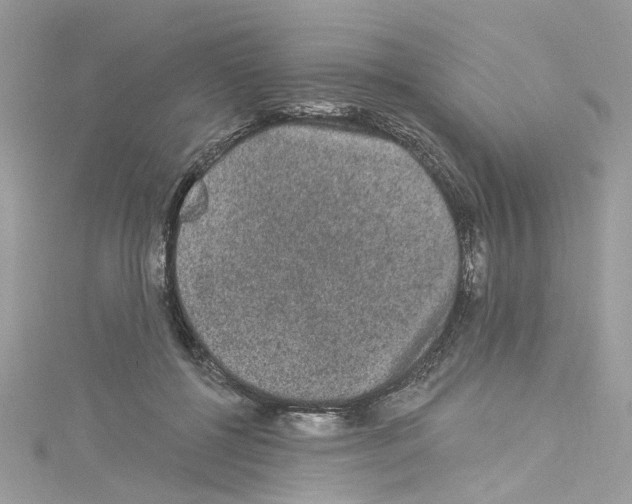 X0000114120552200911161141