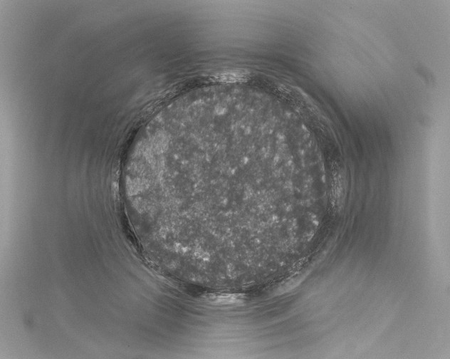 X0000114120553200911161141