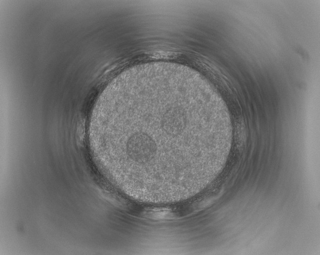 X0000114120554200911161141