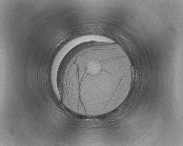 X0000114120556200911161141