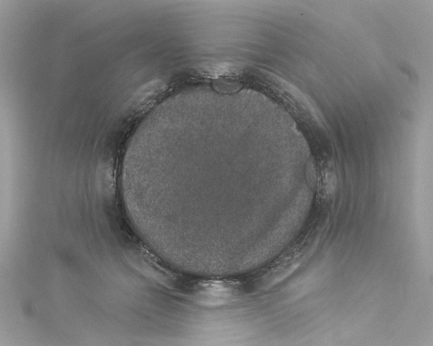 X0000114120558200911161141