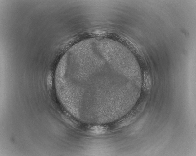 X0000114120562200911161141