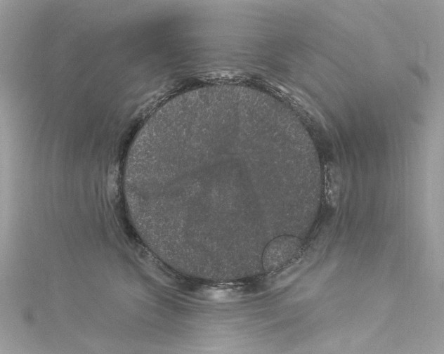 X0000114120563200911161141