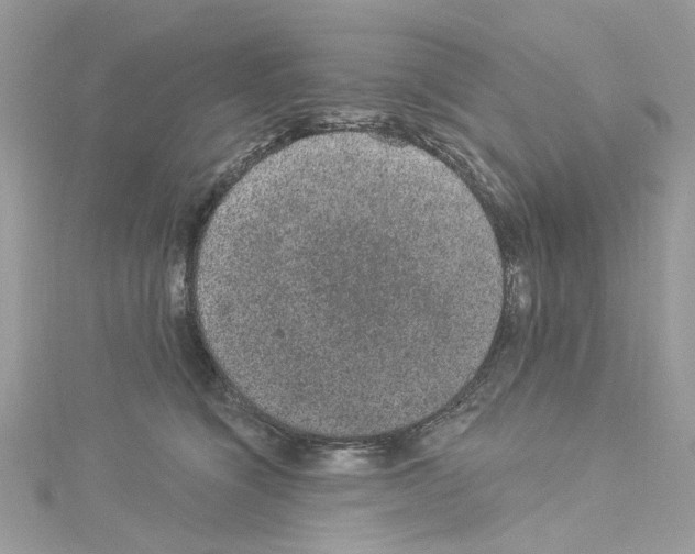 X0000114120564200911161141