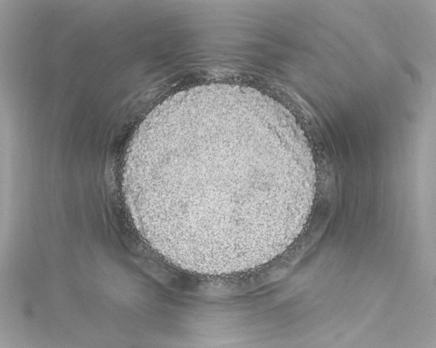 X0000114120565200911161141