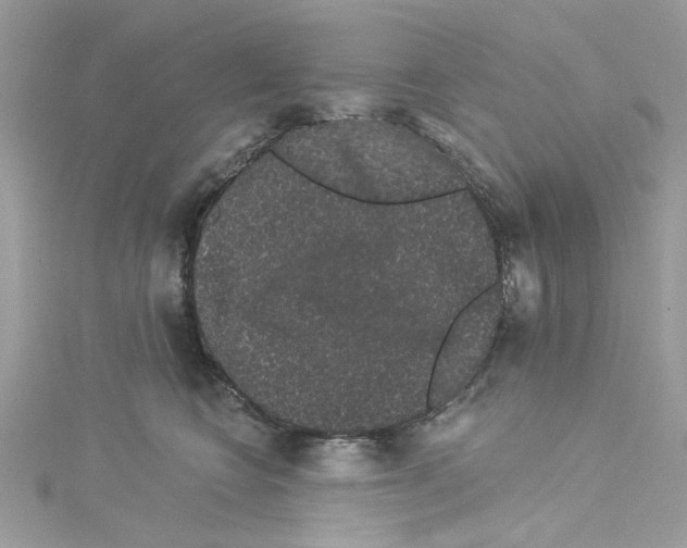 X0000114120566200911161141