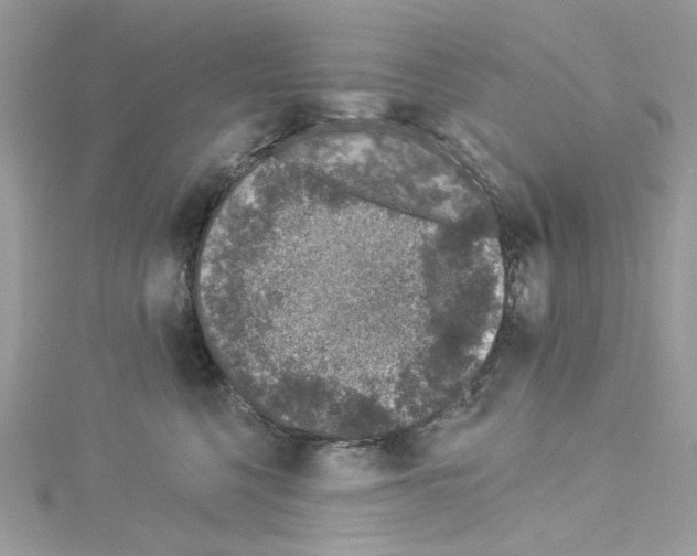 X0000114120568200911161141