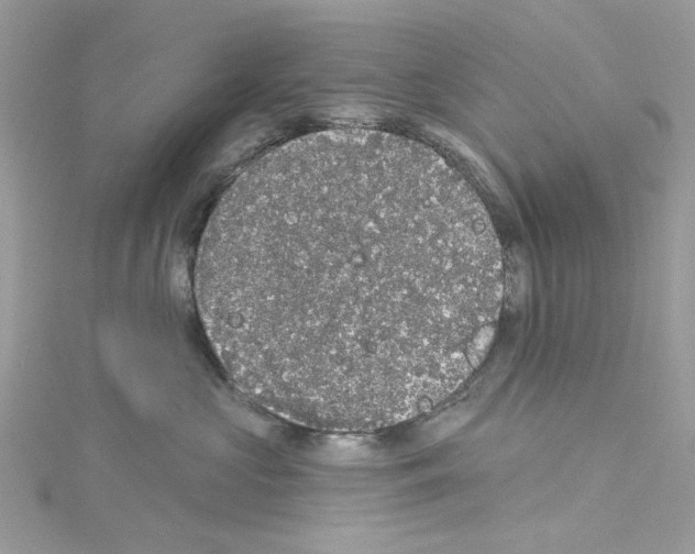 X0000114120573200911161141