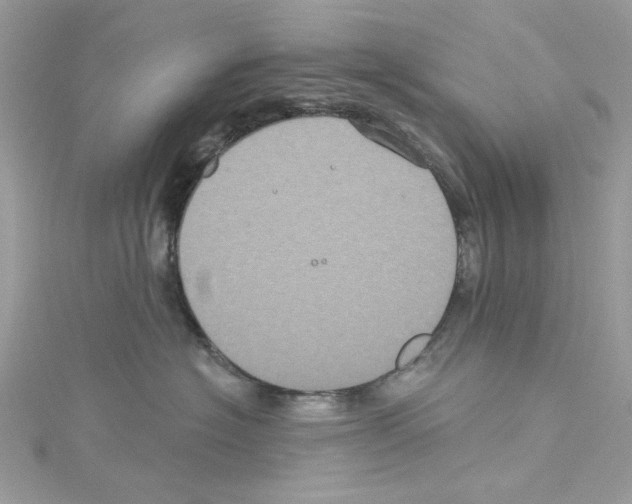 X0000114120574200911161141