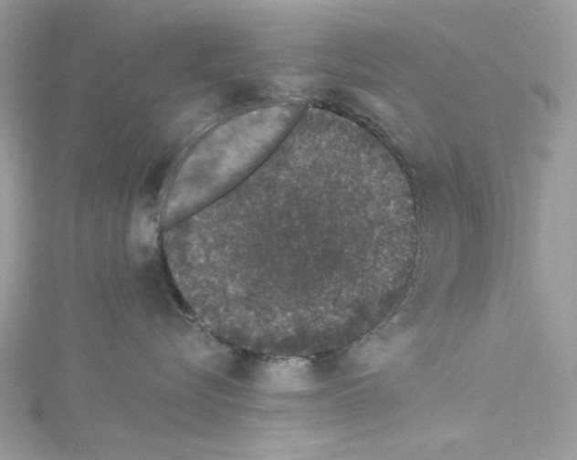 X0000114120576200911161141