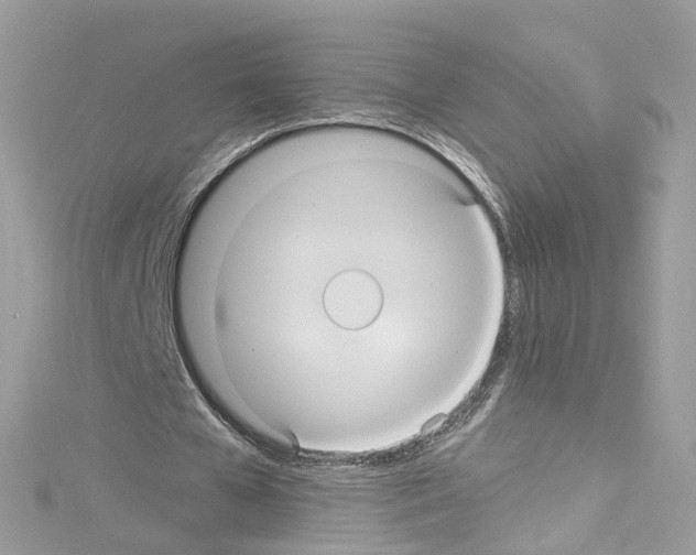 X0000114120577200911161141