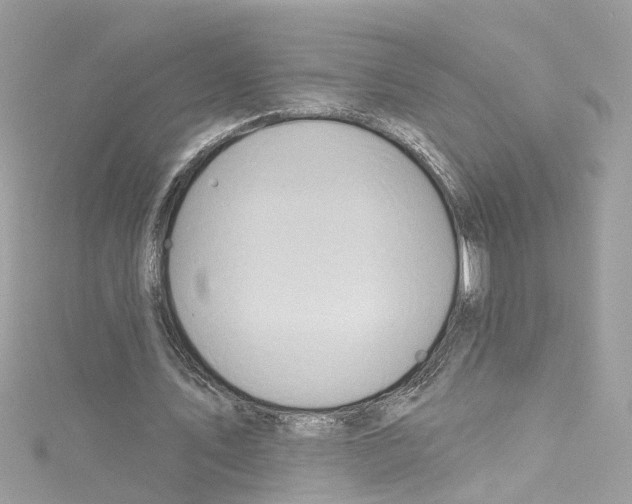 X0000114120579200911161141