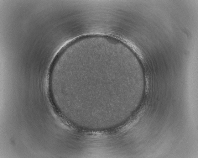 X0000114120580200911161141