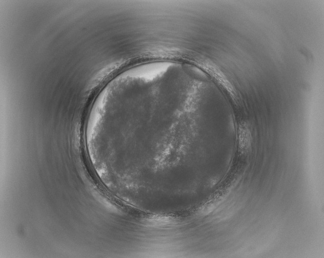 X0000114120581200911161141