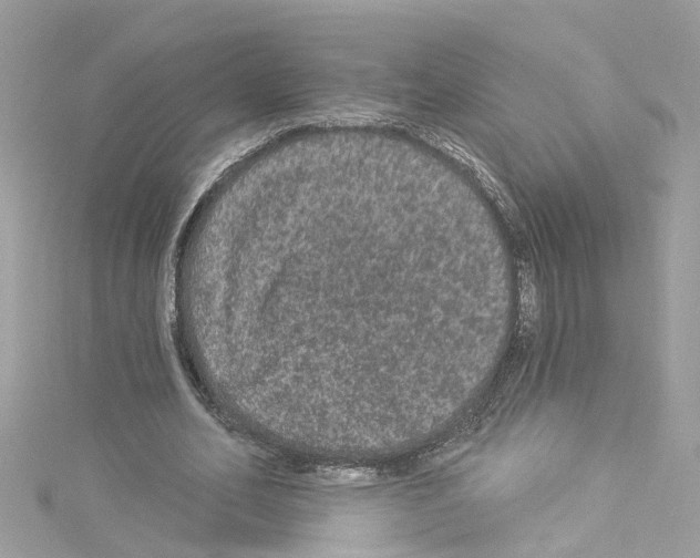 X0000114120582200911161141