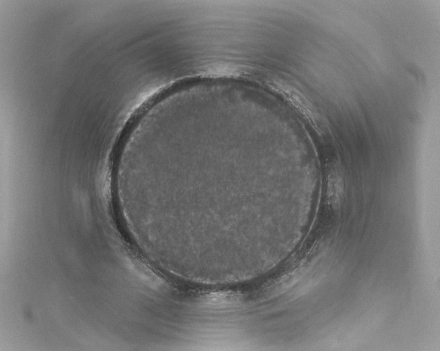 X0000114120584200911161141