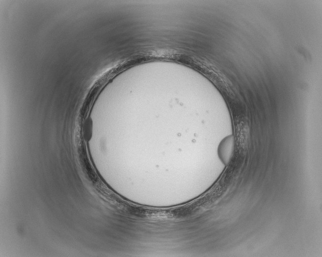 X0000114120587200911161141