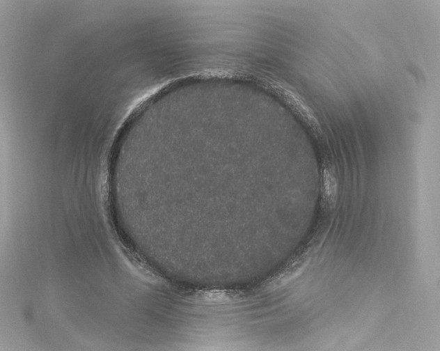 X0000114120588200911161141