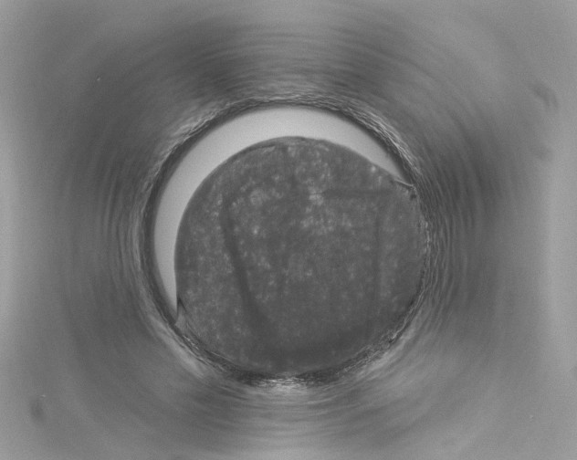 X0000114120589200911161141