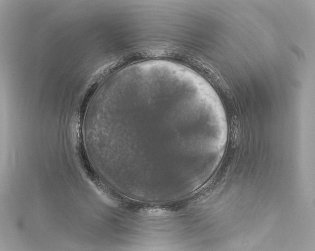 X0000114120590200911161141