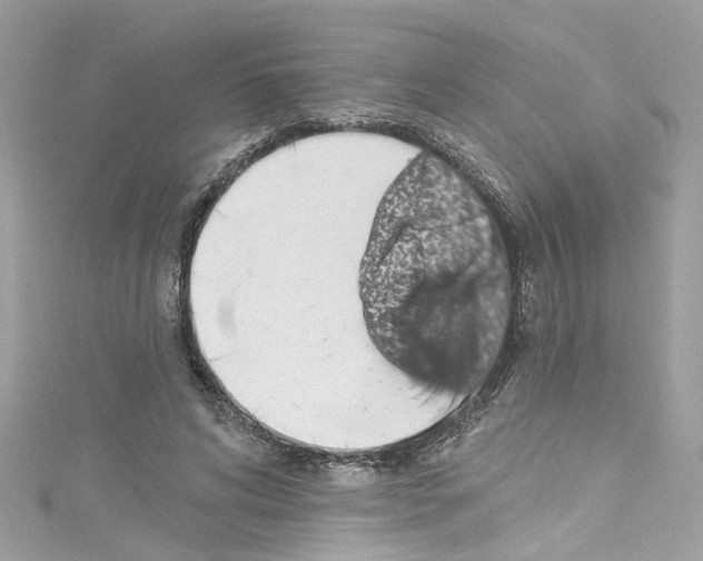 X0000114120592200911161141