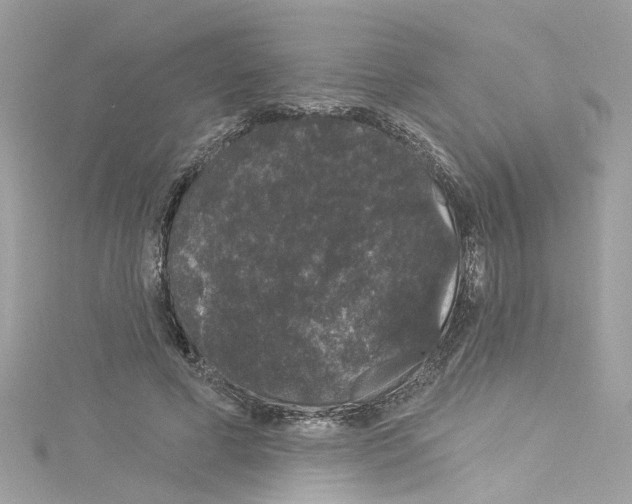 X0000114120593200911161141