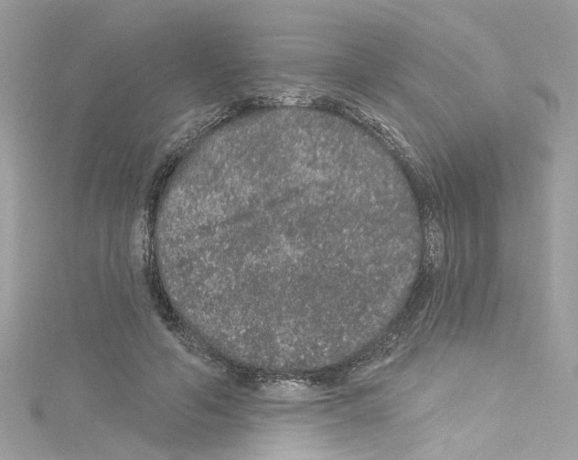 X0000114120594200911161141