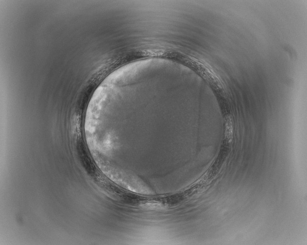 X0000114120598200911161141