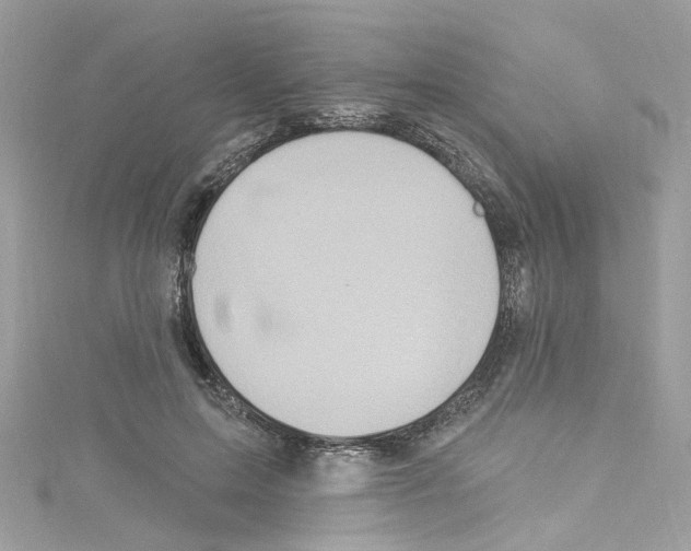 X0000114120599200911161141